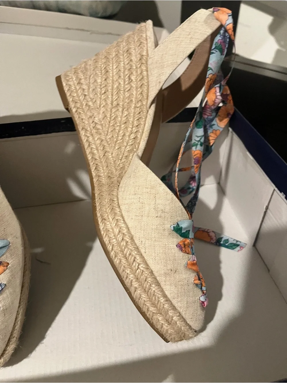 belk crown ivy